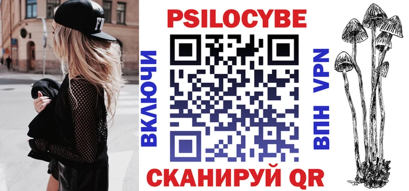 где найти наркотики Буйнакск Галлюциногенные грибы Psilocybe
